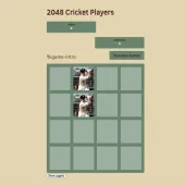 Play 2048 Cricket Players now!